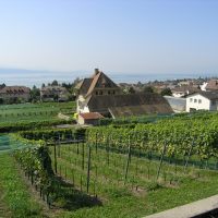 The City of Pully want to unit its activities in Rochettaz #Switzerland #Pully #wine